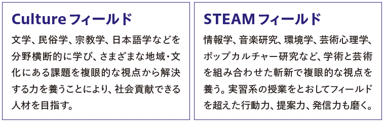 CultureフィールドとSTEAMフィールド